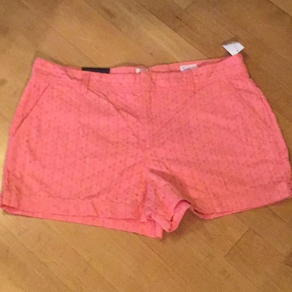 NWT Gap city short